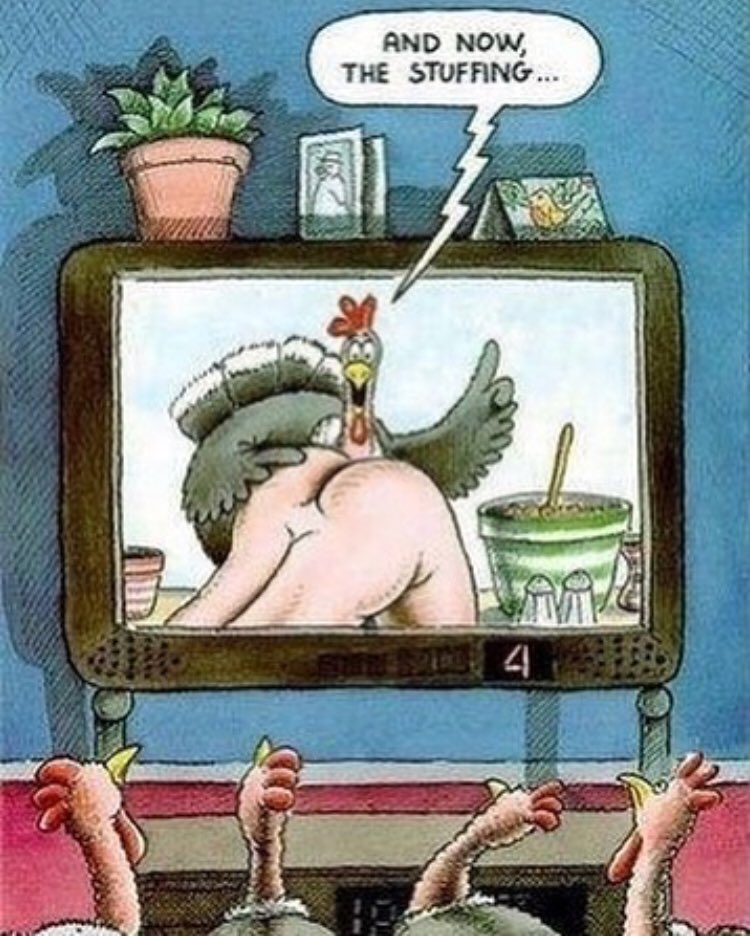 If turkeys ruled the world.. Very thankful today!!