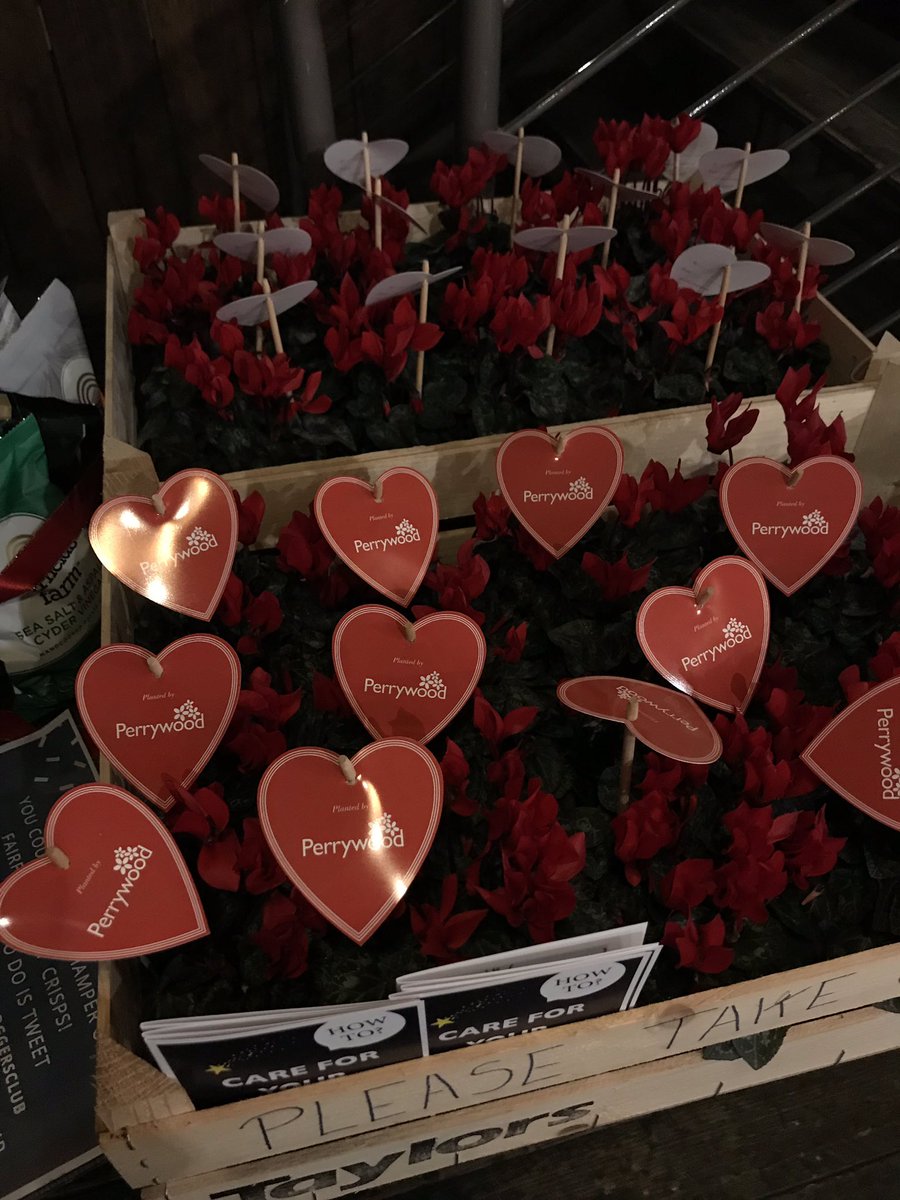 SEBloggersClub's tweet photo. Don’t forget to pick up a lovely cyclamen gifted by Perrywood Garden Centre Tiptree’s tonight! @PerrywoodGarden #cyclamen #perrywood #plants #bloggers #essexbloggers https://t.co/9GrZtZKMR4