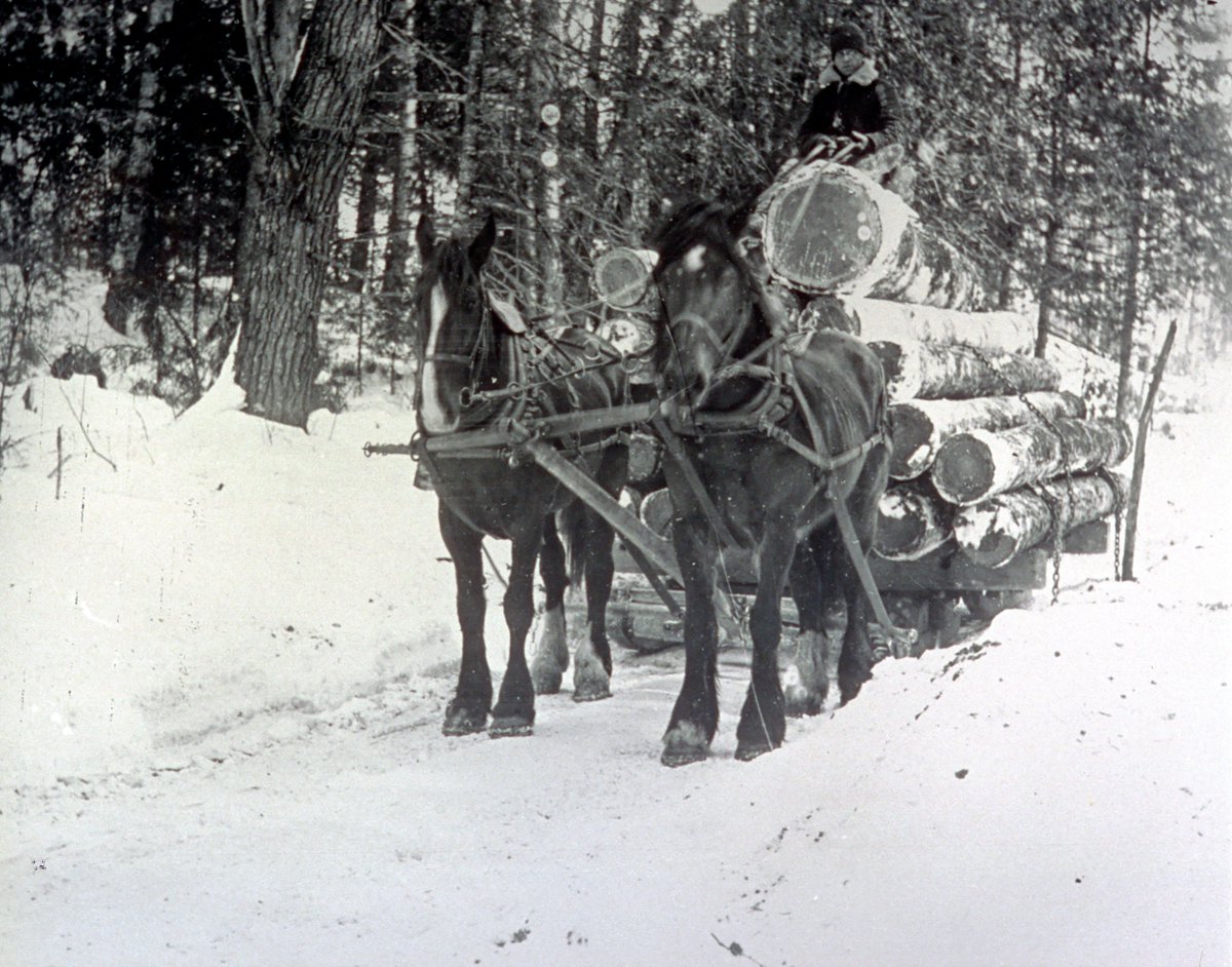 OntarioParksNE's tweet photo. #ThrowbackThursday: The Winter Camp at #MartenRiverPP was busy with Lumberjacks when the snow fell and the lakes froze in the early 1920s.

https://t.co/lwpvXEIhhg https://t.co/rL1Cc3lVv5