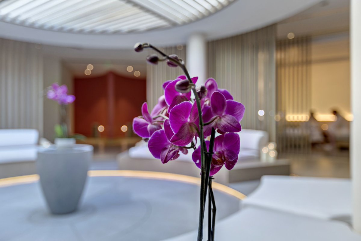 VisitCotedazur's tweet photo. #HappySpaWeek : C'est le moment de vous offrir un beau moment cocooning au @montecarlobay, du 19 au 25 novembre 2018, grâce nos exclusives #CotedAzurFrance sur ➡ https://t.co/V9duyKDTd3 !!
@laroutedesgolfs https://t.co/B06DzTzlIJ