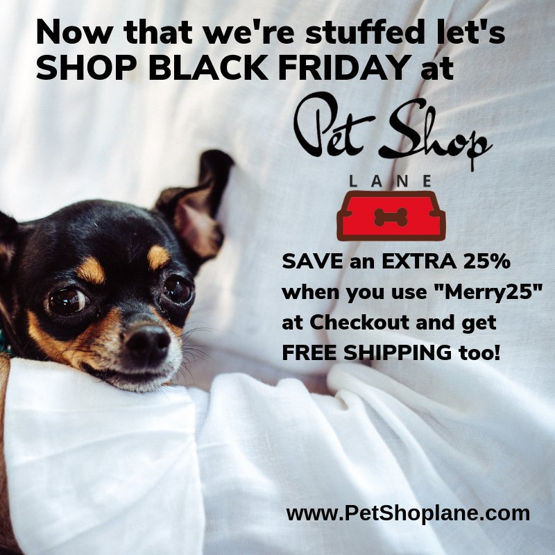 PetShopLane's tweet photo. SAVE 25% THRU Nov 25th on everything for your🐶 #Pets‼️
BUY NOW at https://t.co/FEhcvx1ujr 
#Cats #Kitten #Dogs #Puppy #Toys #Coats #Leashes #Collars #Bowls #Beds #Beds #Blankets #PetParent #Jewelry #Animals #LoveAnimals #BestFriend #tongueouttuesday #Fun #HolidayGifts #PetLovers https://t.co/Ze50QTsFf2