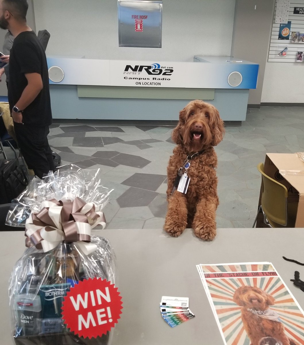 HS_O119's tweet photo. Come see Flynn and learn about Mental Health and Suicide Awareness in South Lobby @nait #naitmo #movember https://t.co/YvoezOSlgI
