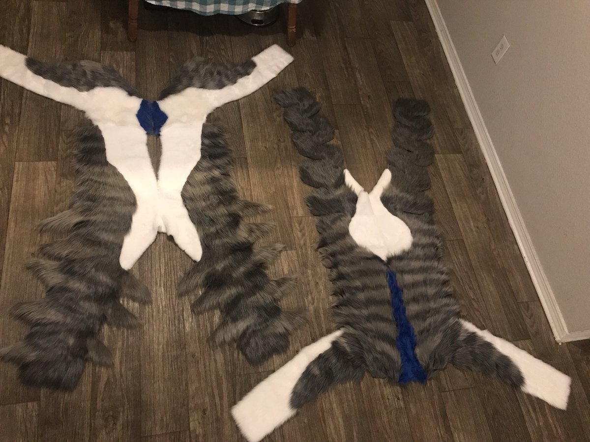 CuttleboneWorks's tweet image. Lotsa stripes here on @Akitakid88 !