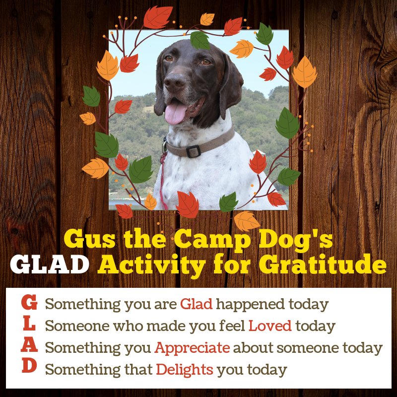 roughingitcamp's tweet image. Join Camp Dog Gus in his favorite year-round gratitude activity! It&apos;s called G.L.A.D. and you can do it every day. HAPPY THANKSGIVING from Gus and your Roughing It Day Camp Family! #RIDC #Lamorinda #RoughingItDayCamp #Thanksgiving