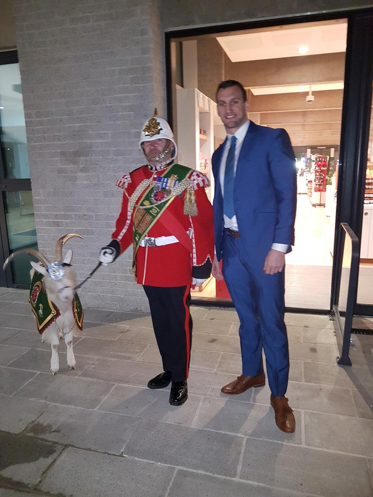 The Royal Welsh Goat tweet media