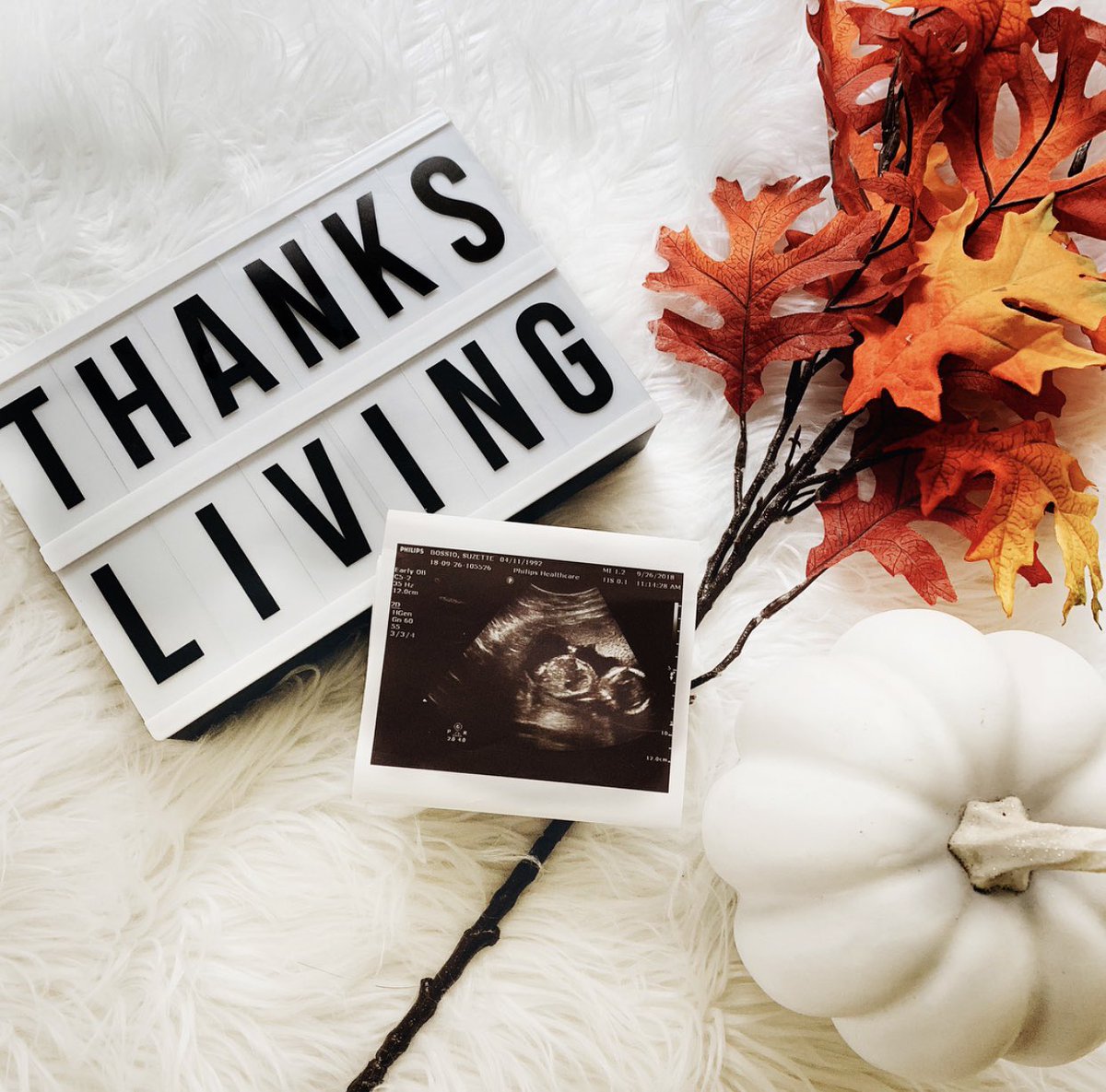 Ourtogether_'s tweet photo. Life’s greatest gift is LIFE and being able to create it.// Extra thankful this year. 👣 🙏🏻🍁 #happythanksgiving #nuestrobebe #pregnantlady https://t.co/moPtMmMJDO