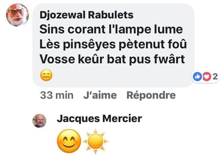 Rabulets1's tweet image. #walon #wallons #haïkus