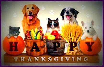 CCCentralPetFan's tweet photo. Happy thanksgiving to all our 🇺🇸  #cccpetfans #claynecrawford fans #fanfamily #teamclayne woof 🐶 meow 😺cheep 🐥all animal family ❤️too 🐹🐰🐸🐵🐮🐔🐴🐺🦄 https://t.co/5an8cEXy3S
