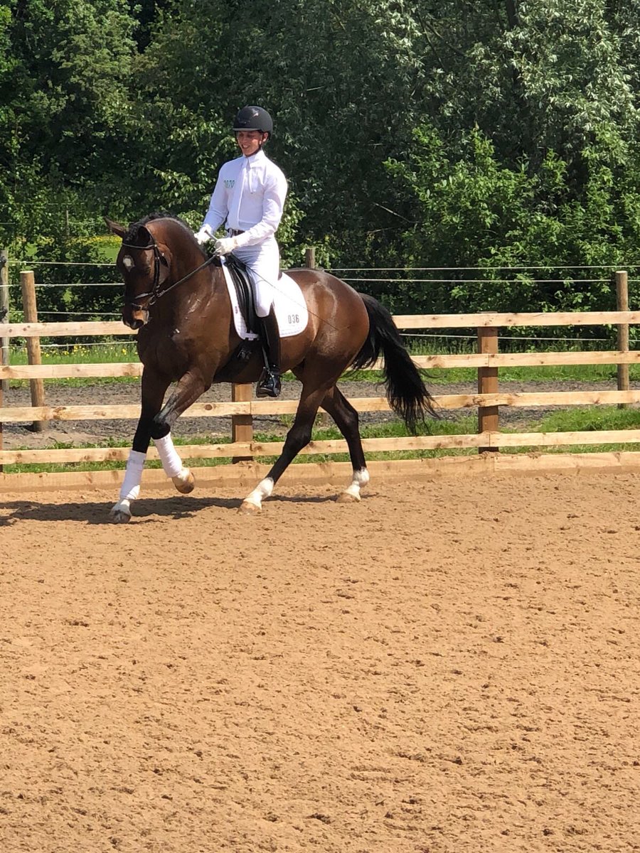 KtsJonathan's tweet photo. Please follow our new page and join our journey @EquineKts #KTSequine #dressage #breeding #Warwickshire #training #competing #journey #exciting https://t.co/3Bi8p8n3Fo