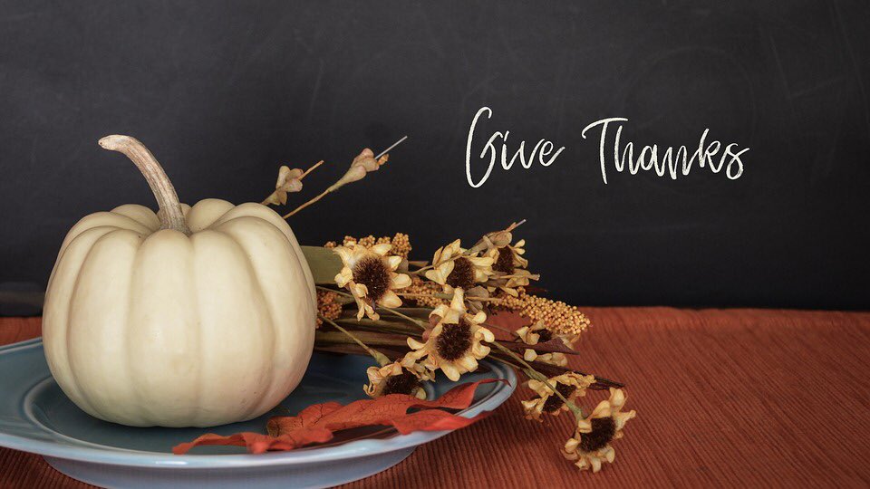 SavveeSocial's tweet photo. Happy Thanksgiving from Savvee🦃 https://t.co/9Jrw4vxYp0