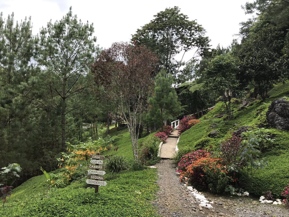 corazon_bosque's tweet photo. Vengan a pasar el finde a las cabañas de #CorazonDelBosque. 💚🌳🌲🍀🍄🌺🌾🥑🌽🥕🥬🐐🦜🐿💫🌔🌝🌼🌸 https://t.co/eJ9MrRjGd4