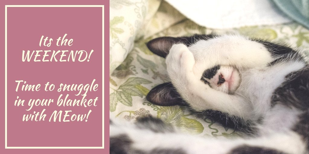 101pawshop's tweet photo. The WEEKEND IS FINALLY HERE! 🐹💕

#HappyWeekend #101Paws #SNUGGLE #TIME https://t.co/3QIrfrnoZx