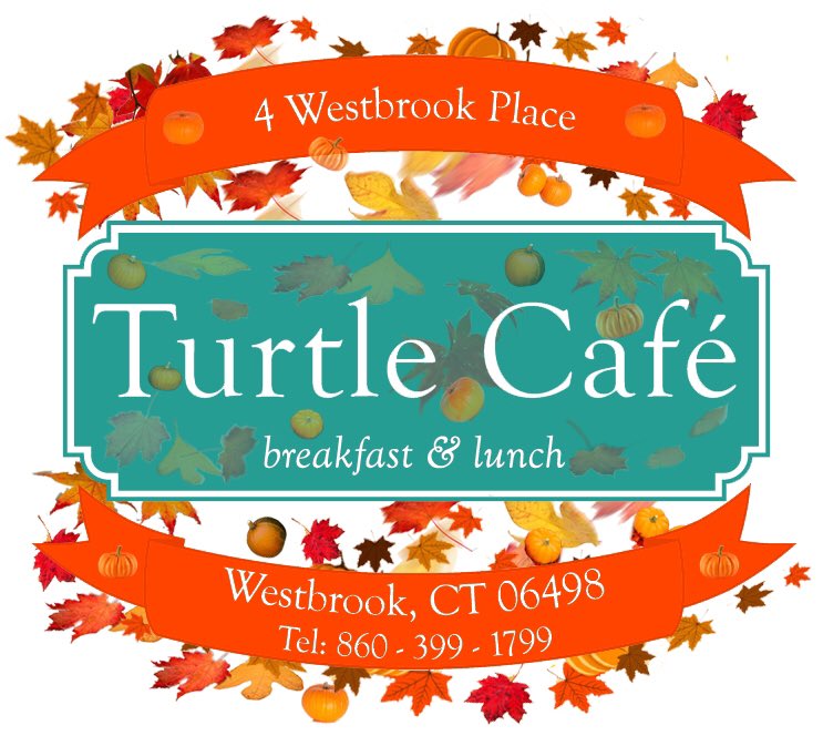 TurtleCafe's tweet image. 