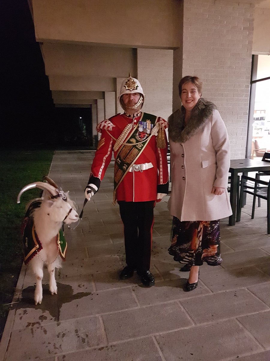 The Royal Welsh Goat tweet media