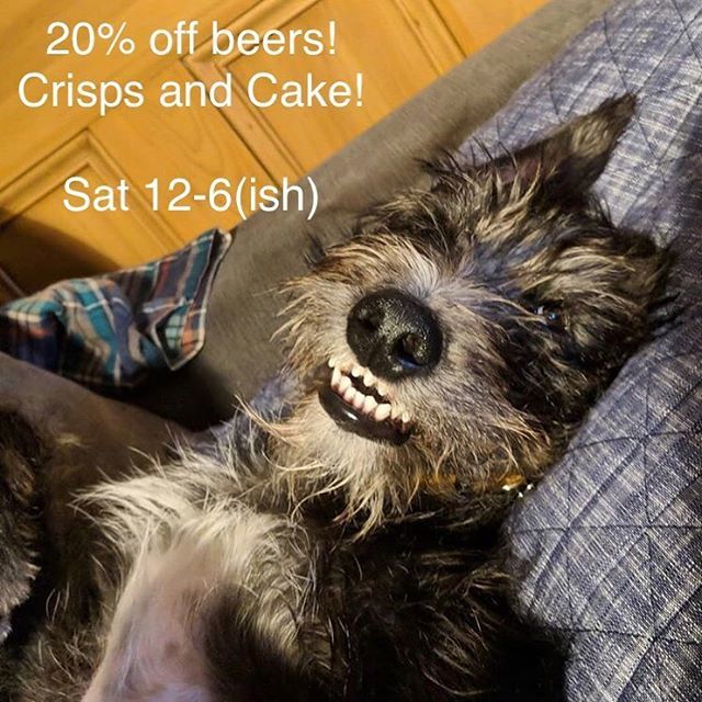 ChampionBandT's tweet photo. Arthur’s stoked on our farewell party. Pop by this Saturday for deals on beer, free snax and cake! https://t.co/aoX9QkfgvL https://t.co/9QzjiIQ9mE