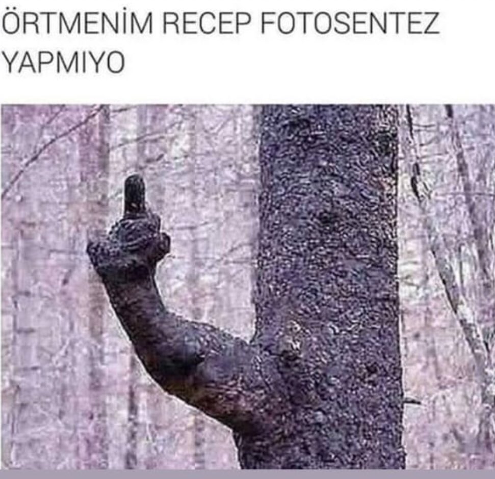 Матерные веселые картинки