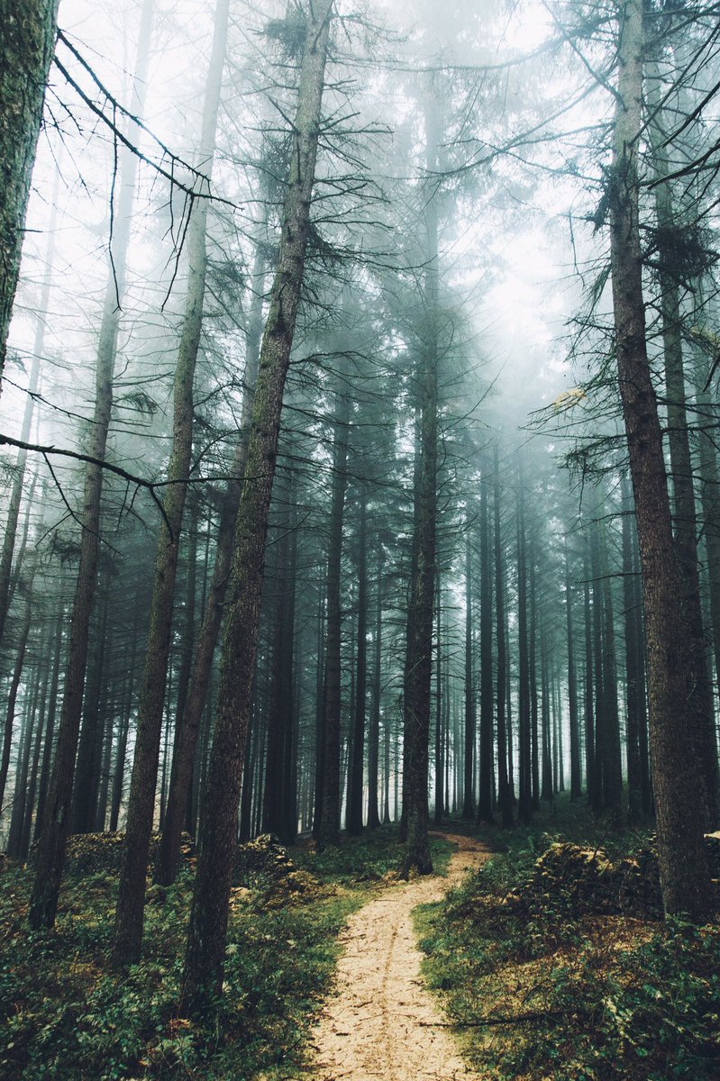 Daniel Casson tweet media