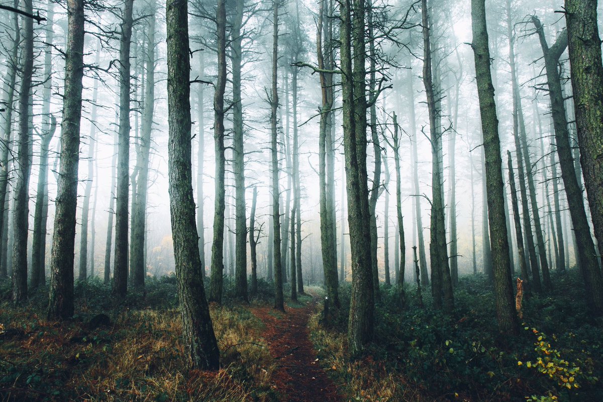 Daniel Casson tweet media