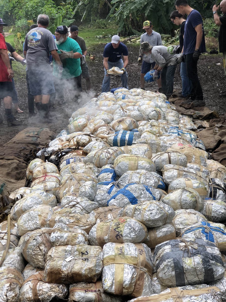 hiarchyllp's tweet image. @hiarchyllp volunteering on Thanksgiving 399 birds this year in a single imu #sustAINAbleoven #keyproject #volunteer #hiarchy