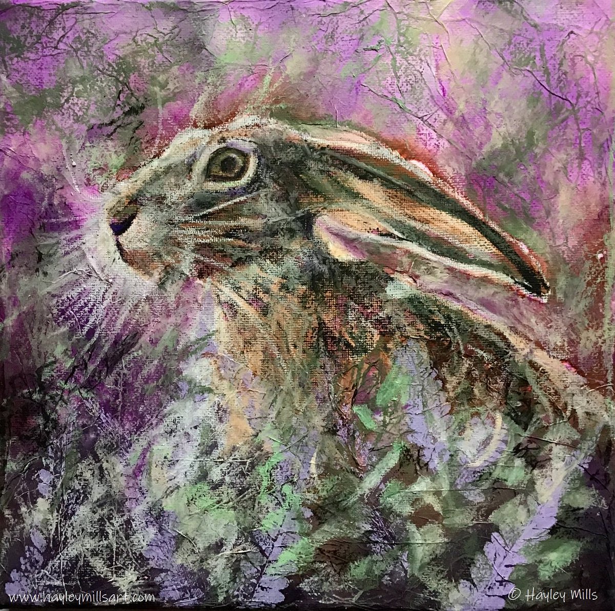 Just finished this wee #hare canvas - #mixedmedia 25x25cm unframed - had an urge & so here it is! #wildlife #wildlifeart #hares #countrylife #countryliving #scottishart #scottiahartist #animalart #nature #expressivedrawing #ontheeasel #twitterart