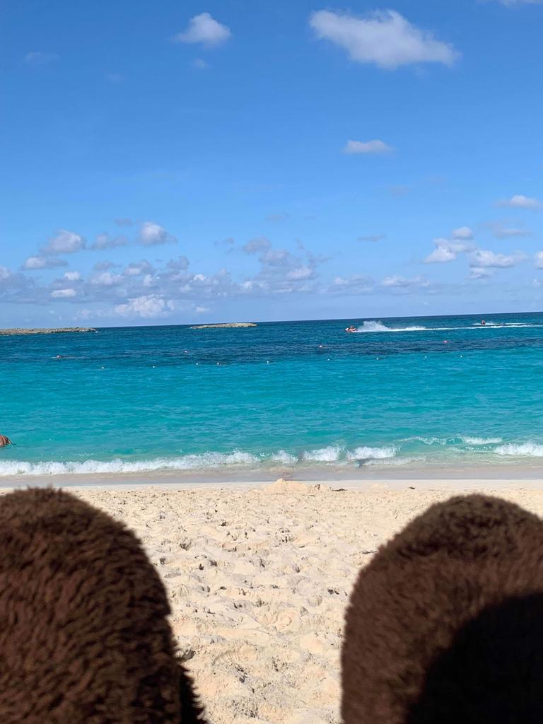 UWBuckyBadger's tweet photo. Beachin' after a Badger 👐🏽 #hotdogsorlegs https://t.co/fJcvPAHldq