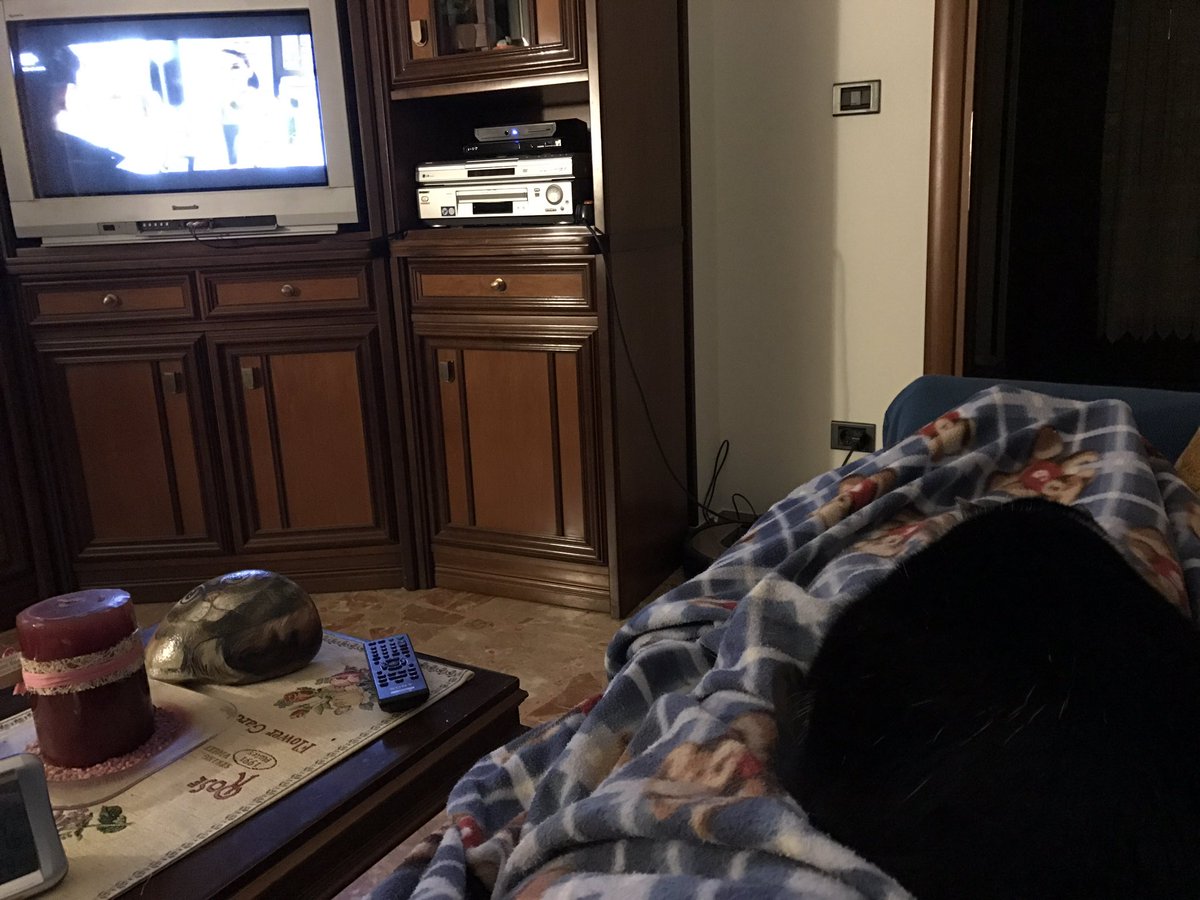 FSalgarello's tweet photo. Io, il divano e il gatto pronti a twittare a bestia #dajeeeeeee
#LAllieva 2
@LinoGuanciale https://t.co/mZcfSNdQxy