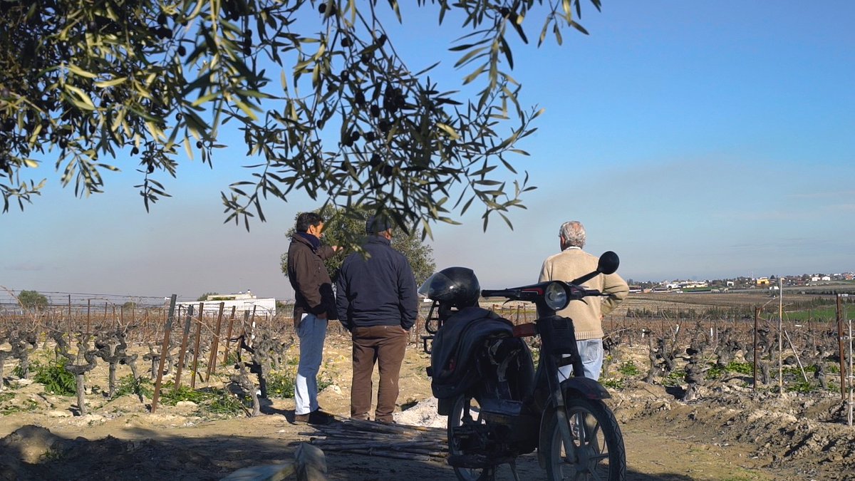 mostfestival's tweet photo. Guanyadora del Gran Premi del Jurat i el Premi Arrels del #Most2018, 'Minéral' serà al #Priorat en projecció conjunta amb 'Las podas olvidadas' de @chicagarnacha i el tb premiat espot de @VinicolaPriorat. ➡️ Div 30nov, 20h, a La Vilella Baixa! https://t.co/P2VJeRCTn1 https://t.co/Qk1iH4l6Tw