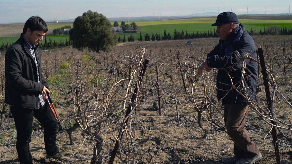 mostfestival's tweet photo. Guanyadora del Gran Premi del Jurat i el Premi Arrels del #Most2018, 'Minéral' serà al #Priorat en projecció conjunta amb 'Las podas olvidadas' de @chicagarnacha i el tb premiat espot de @VinicolaPriorat. ➡️ Div 30nov, 20h, a La Vilella Baixa! https://t.co/P2VJeRCTn1 https://t.co/Qk1iH4l6Tw