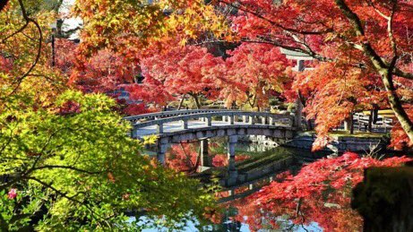 Autumn Colors in Kyoto