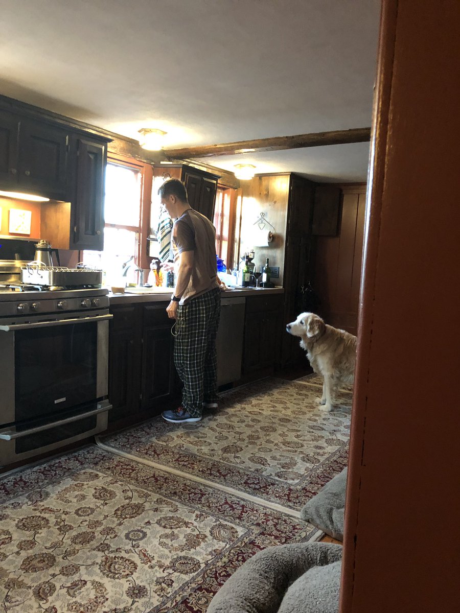 codyjakegolden's tweet photo. #cleanupduty #turkeyforme #DogCelebration https://t.co/X6ZTh9VyLP