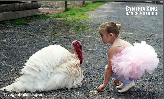 DanceLikeAVegan's tweet photo. 🍁Happy Thanksgiving Dancers! 🍁

We are so thankful for our wonderful customers and for vegans everywhere choosing compassion and kindness over convenience. ❤

Dance on! 💃

Photo credit goes to the wonderful @veganballetslippers 

 #dancelikeavegan #dancevegan #vegandanceshoes https://t.co/jQnUdqdPnd