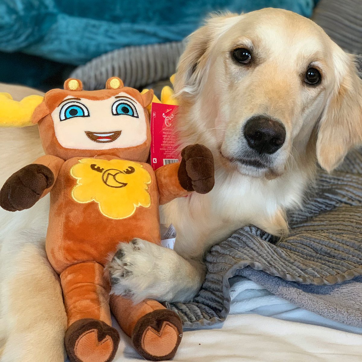 ItsMooseCraft's tweet photo. They are friends now 🐶😍
https://t.co/t7mLvyPy6e https://t.co/HQullv5ScA