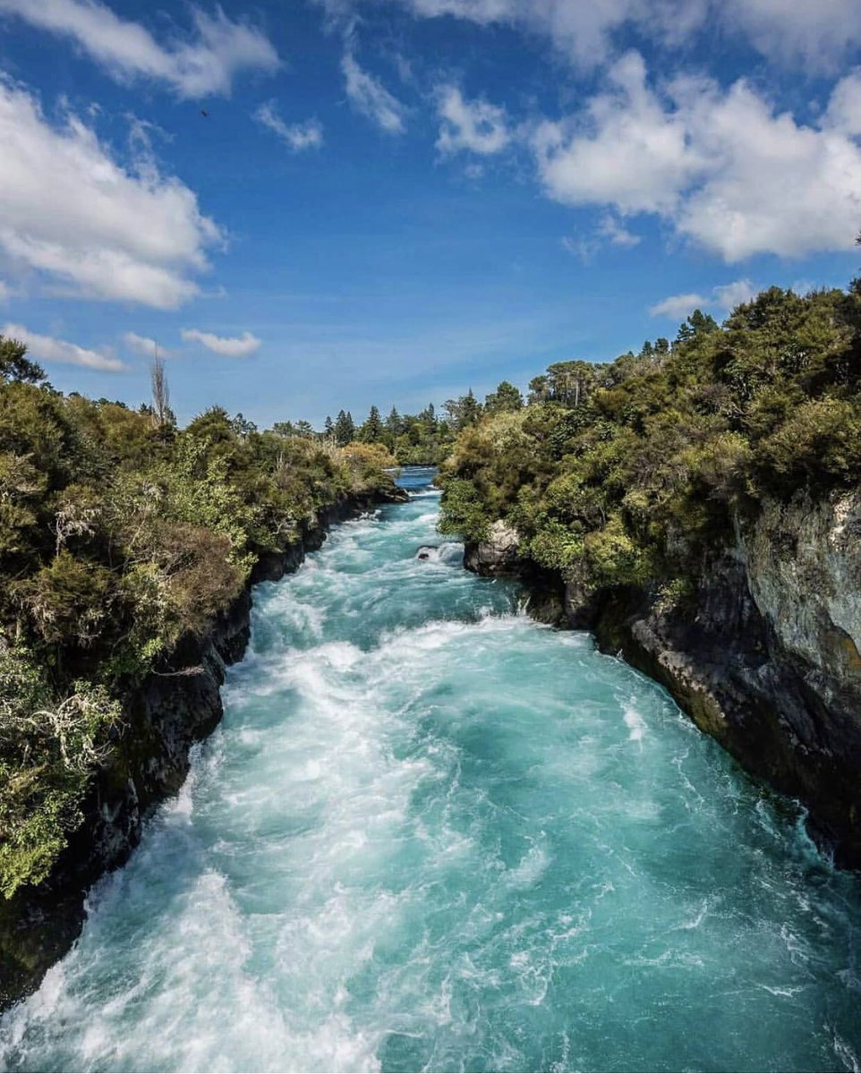 PureNewZealand's tweet image. Mighty rivers. #NZMustDo 

[📍Huka Falls, Taupō. 📷: IG/eshan_goonetilleke]

#Travel #NewZealand #NZ #Nature