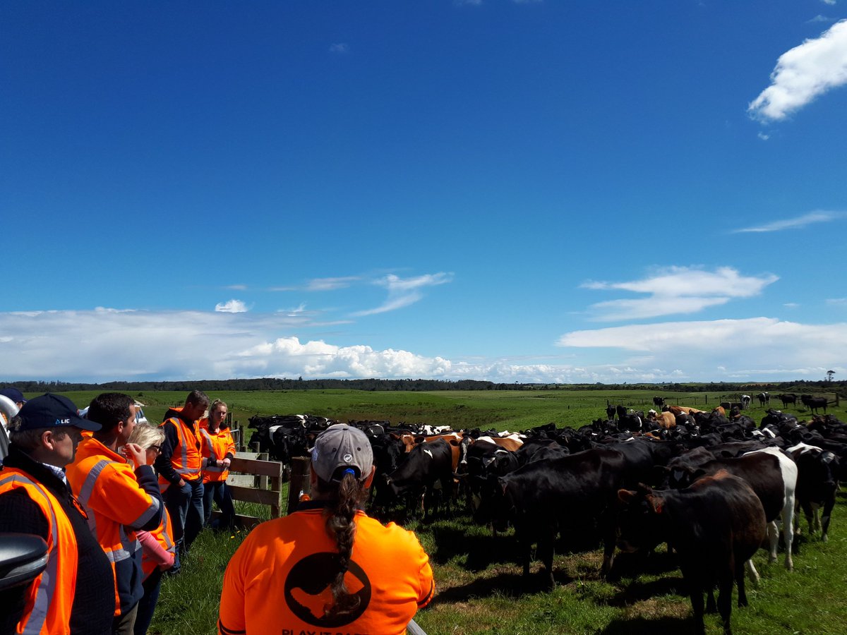 jack_raharuhi's tweet photo. Great to have our West Coast Advisory Board come and challenge us on what we are doing here at Buller. Fantastic Discussion and plenty of great ideas to be better Farmers Socially/Environmentally/Financially and Successfully #passionforprogression @pamu_nz https://t.co/GqdzljcsZV