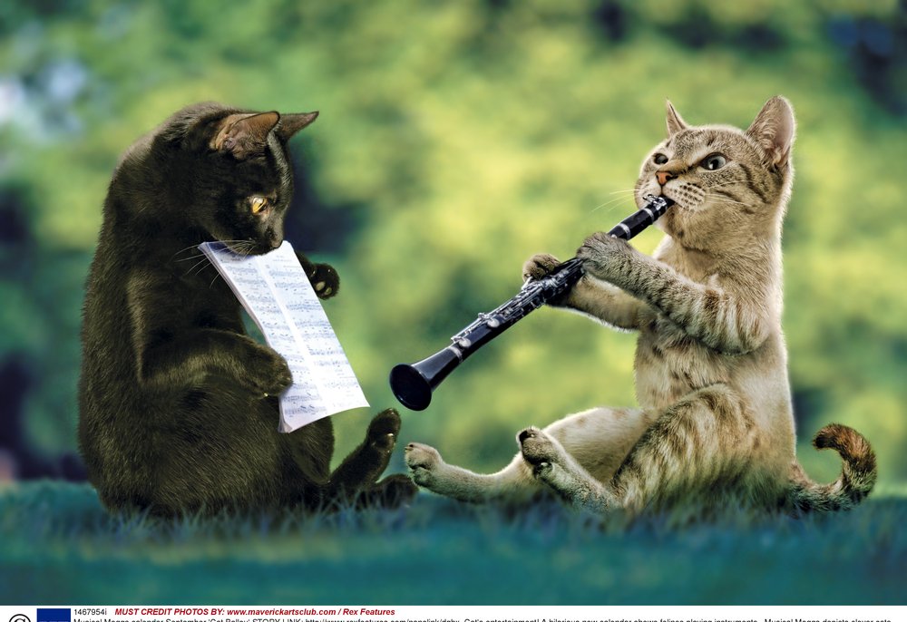 Лана Лисс on Twitter: "@maype7 @JJohannesM51 @shamaelmughal @QuattroMori61 @Civi