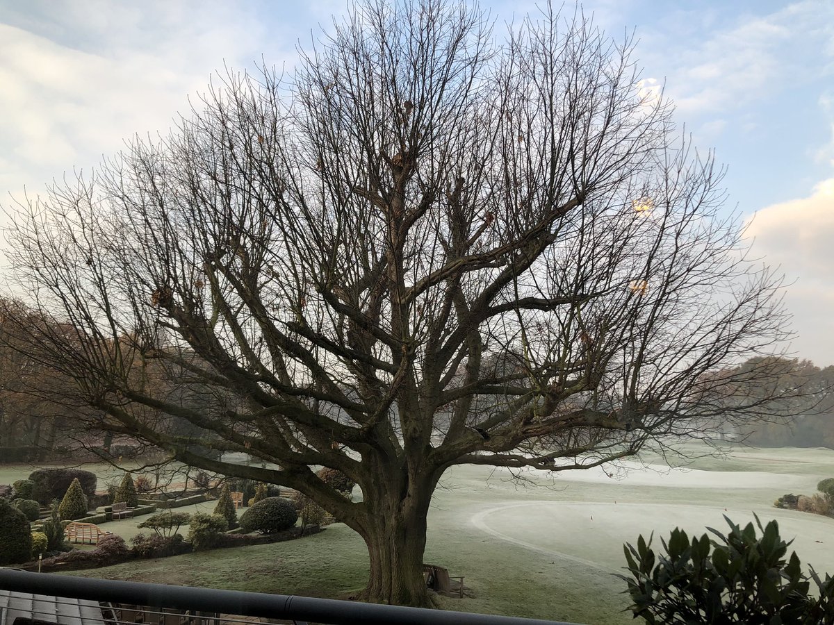 #ThisMorningInRichmondUponThames at #RoyalMidSurreyGolfClub @RoyalMSGC #StunningWinterScene #GreetingOurGuests and @vincecable #photo #copyright @chamberrichmond @richmondtimes @KSBC_London