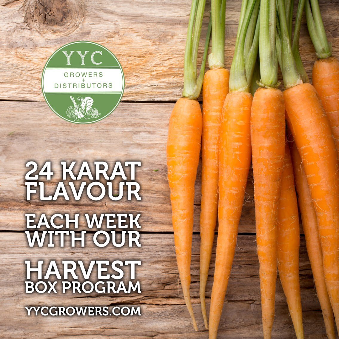 Let’s rally people! We want to sell 25 #harvestbox’s this weekend. Q1 2019. $29.95 a week and some amazing, local vegetables and other treats will grace your reusable bag. register today. #supportlocalfarms #countdown 

yycgrowers.localfoodmarketplace.com/subscriptions