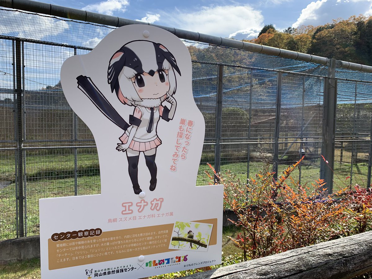 岡山県自然保護センター けものフレンズ キーワードラリー Togetter 岡山県自然保護センター けものフレンズ キーワードラリー Togetter