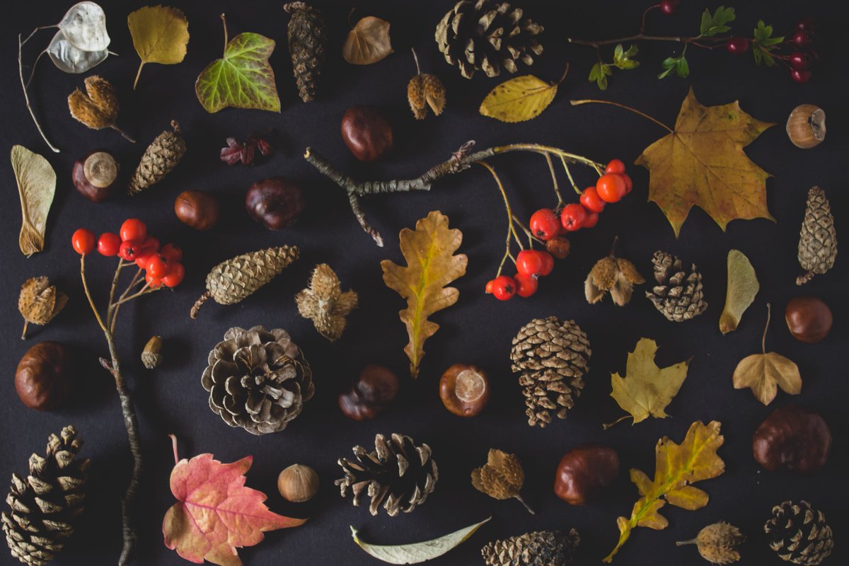 Diresco_Quartz's tweet photo. At this time of Thanksgiving celebration our thoughts turn gratefully to you with warm appreciation. Our best wishes for a happy Thanksgiving.  Photo by Karolina Badzmierowska https://t.co/HKJz4uub0V