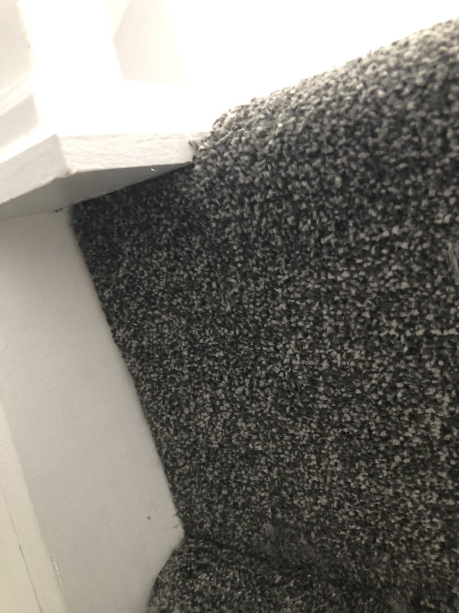 WATS29's tweet photo. Stock carpet @CormarCarpets primo ultra fitted to this staircase.A bit of improvised prep to get a good result! @WATS29 @thenicf https://t.co/cpBmad6KNv