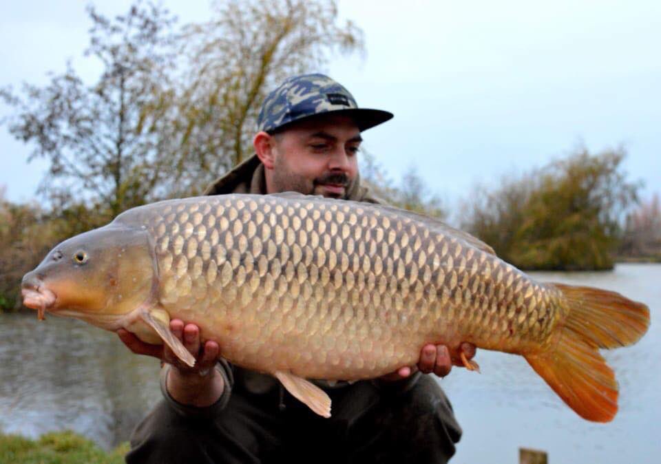 Northeastbaits2's tweet photo. 24lb common that saved me from a blank today in last innings caught on a 12mm reaper pop up over crushed reaper and northern spice in a bag with a few freebies scattered around the area in wet and windy conditions! #teamevo #teamneb #teamBMG #teamrhino
#QualityBaitsMoreTakes https://t.co/2OuhNR6zzQ