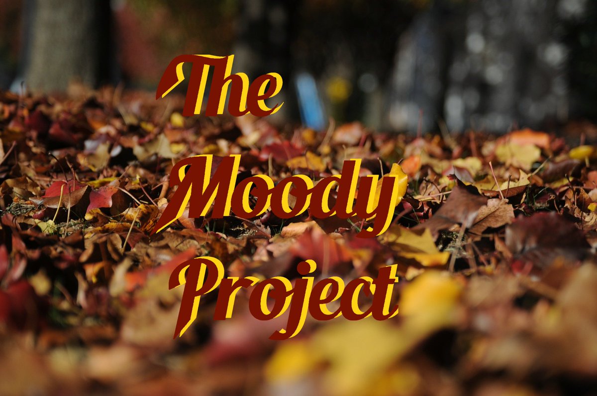 TheMoodyProject's tweet photo. Big #HappyThanksgiving from #TheMoodyProject. We hope everyone had a great Holiday. Join us tomorrow for episode 7! https://t.co/mQUKZWKiY2