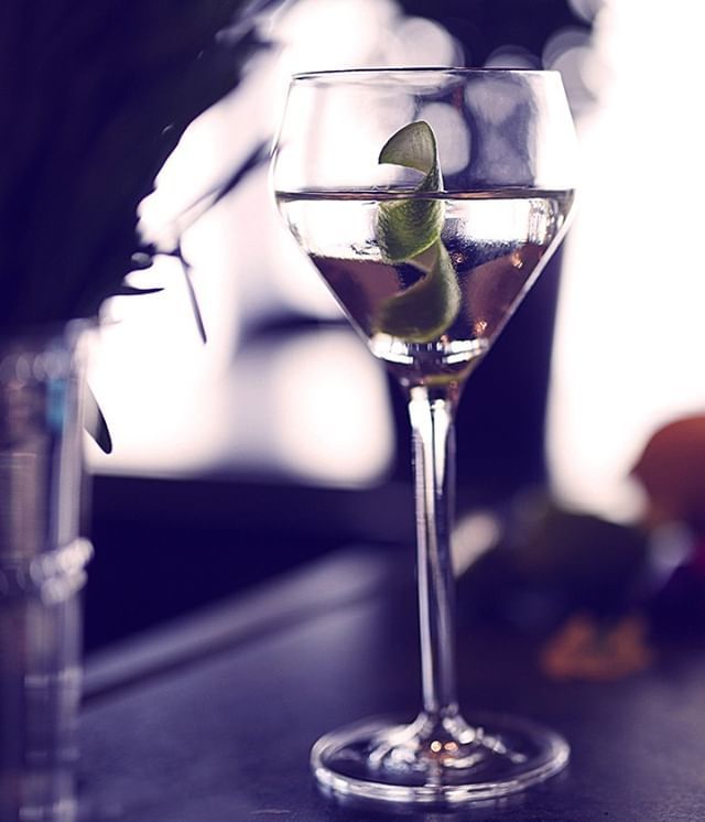 purityvodka's tweet photo. Who says Martinis aren’t for Thanksgiving?

#thanksgiving1 #GobbleGobble #TimeToGetBasted #CountYourBlessings #FeastYourEyes #OnlyHavePiesForYou #PassTheGravy #TurkeyDay #TurkeyYay #TurkeyTime #NomNom
#purityvodka #purityvodka34 #organic
#organicvodka #c… https://t.co/P9BaY37HYz https://t.co/FKLLrB3UC5