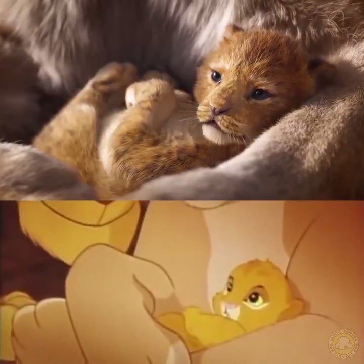 Here's a side-by-side of 'The Lion King' trailer with the same scenes from the 1994 original movie. #TheLionKing