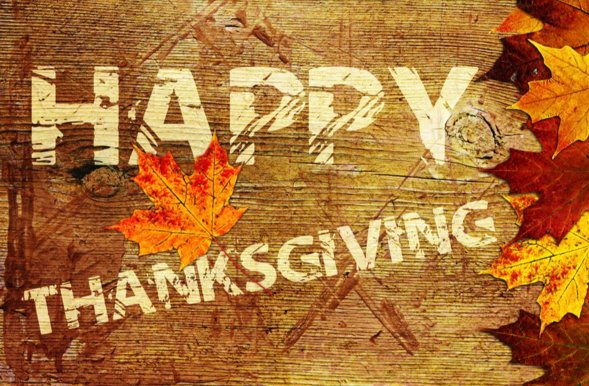 Pest_No1's tweet image. #BedBugTreatment #PestControlInsulation #PestControlAtticInsulation