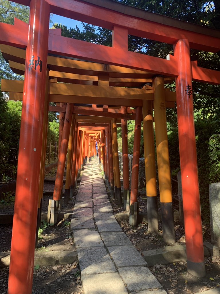 Path of Torii at Nezu Shrine in Bunkyo-Ku, #Tokyo #Japan