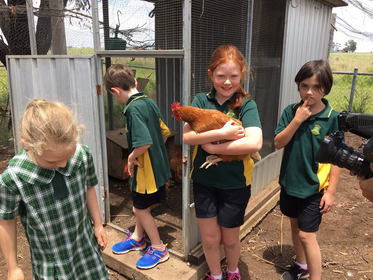 Cait_Crowley's tweet photo. When youโre giving up on the world, just spend some time with primary school kids ๐๐ผ Our #schooloftheweek is my antidote for stress - plus their interviews are frank and fearless! Thereโs no spin in the chook pen ๐ค ๐@WINNews_TWBA #jimbour https://t.co/3TWAdOI5Mc