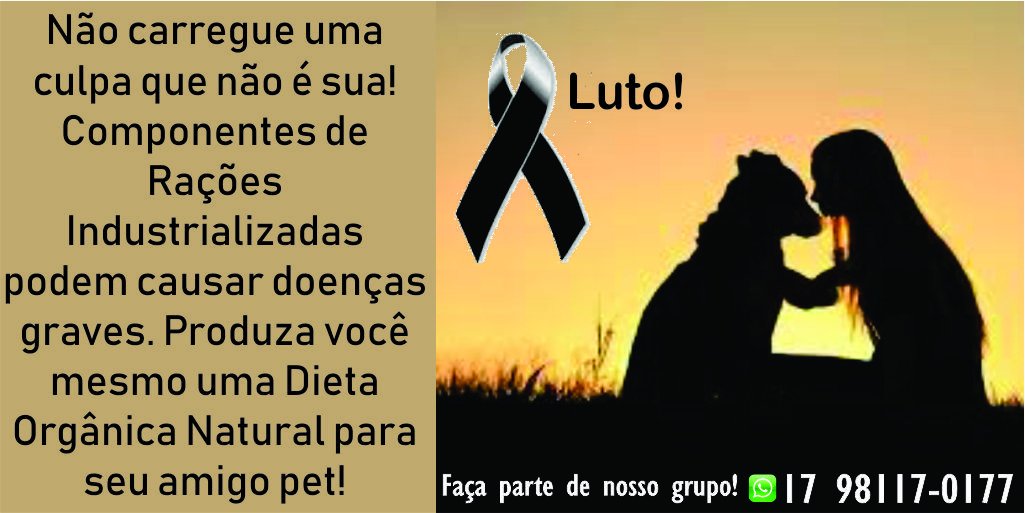 fernandopoliswe tweet picture
