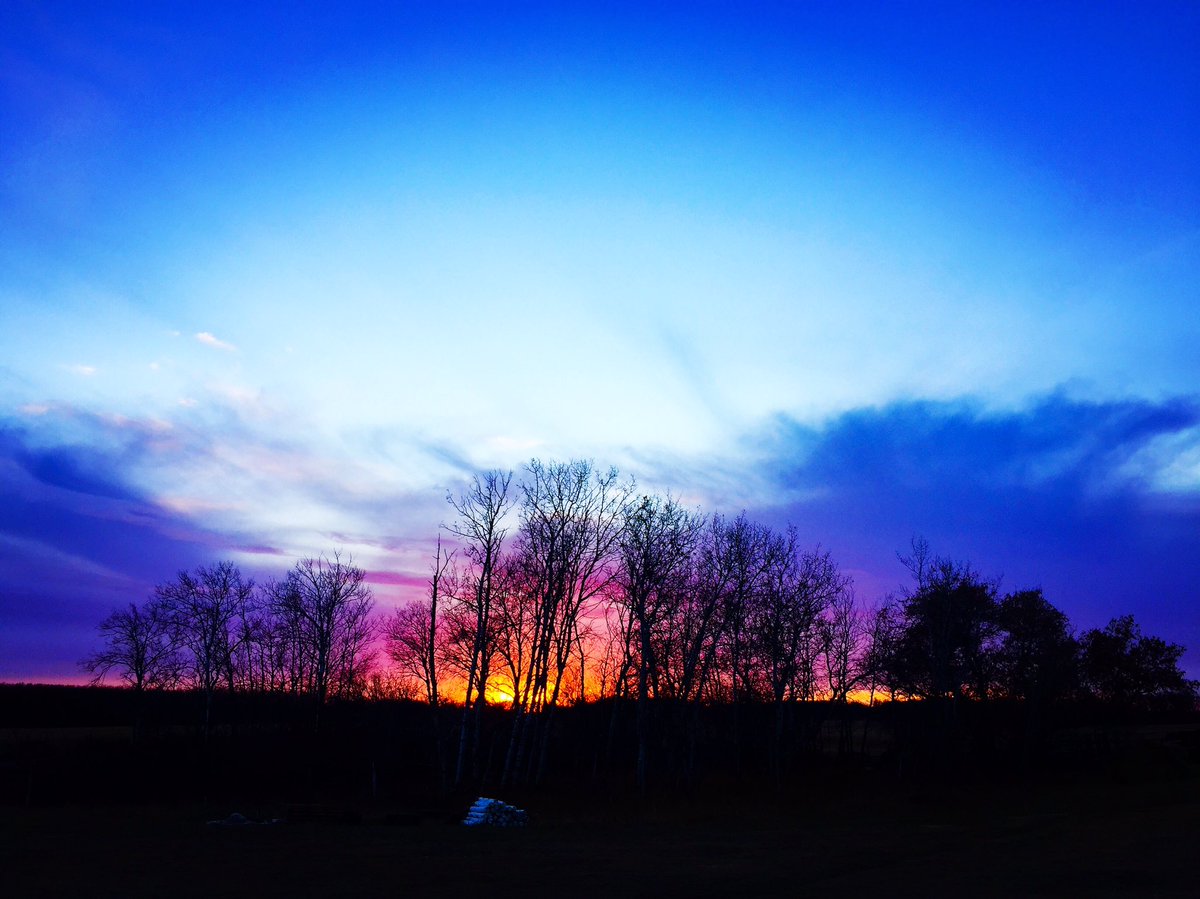 cote_com's tweet image. “I wanna look at the horizon and not see a building standing tall...” 🎶