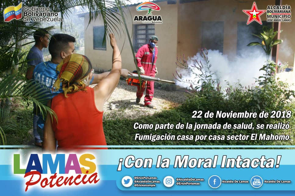 GatoVolador454's tweet image. ¡ PUEBLO SANO !
Despliegue de FUMIGACIÓN casa por casa en sector EL MAHOMO II , municipio LAMAS #Aragua #FitvenMotorEconómico
🚫 #AlMosquitoNiAgua
@NicolasMaduro @TareckPsuv @RmarcoTorres @JuanDavila01 @SaludAraguaP @CiudadMCY @GobiernoAragua @VTVcanal8 @telearagua @dcabellor